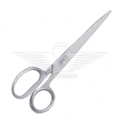 TAYLOR SCISSOR